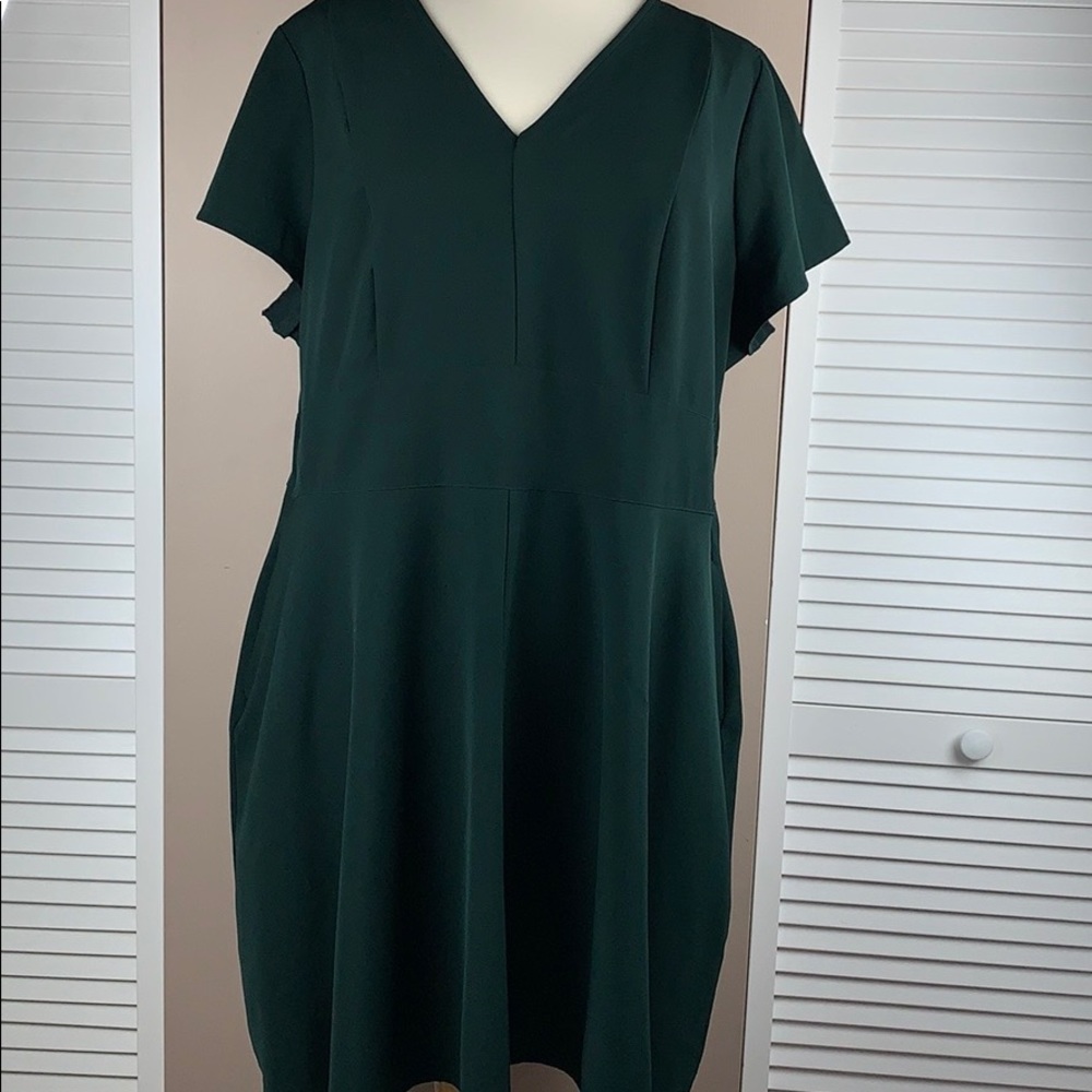 Lane Bryant Fit n Flare Dress